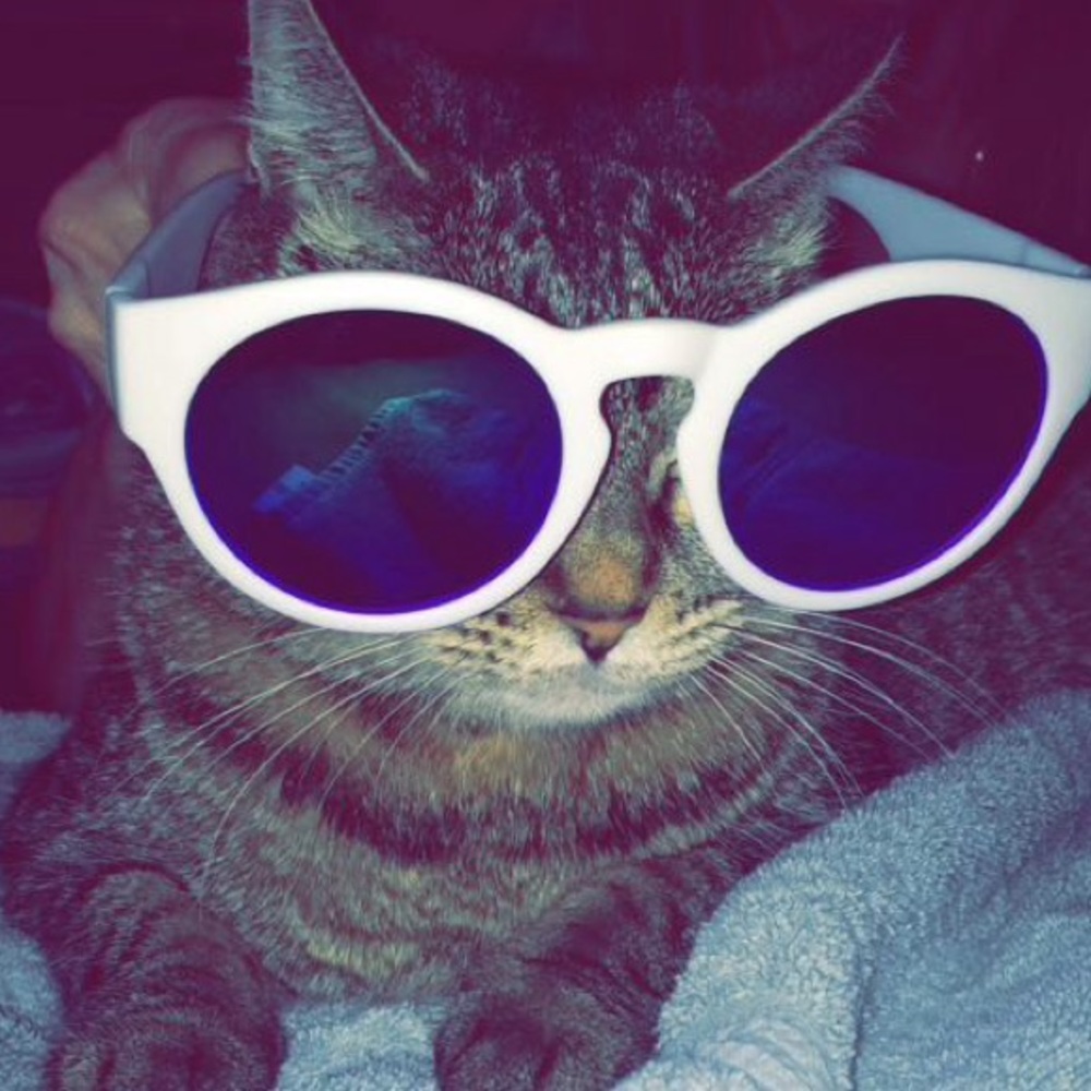 Meet your Posher, Keri